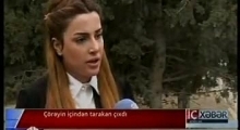 Bakıda çörəyin içindən tarakan çıxdı