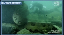 'River Monsters': Jeremy Wade Up-Close & Personal With Bone-Crushing Anaconda
