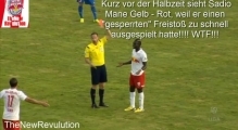 SC Wiener Neustadt vs. Red Bull Salzburg | 0:5 - Die Highlights(26.07.2014)

