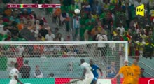 DÇ-2022, A Qrupu: Seneqal - Niderland 0:2 (İcmal)