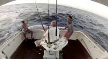 Марлин выгнал рыбака из лодки